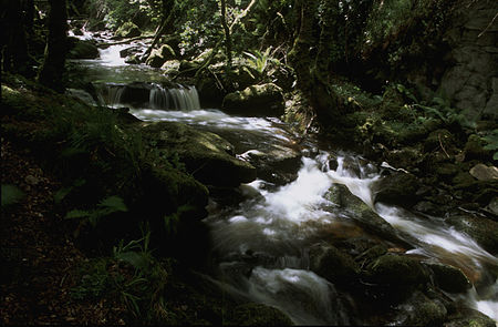 Polski: Strumień Owengarriff English: Owengarriff, The mountain stream