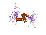 2cp9: ساختار محلول RSGI RUH-042، یک دامنه UBA از فاکتور افزایش طول میتوکندری انسان Ts