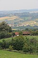 Paštrić - panorama