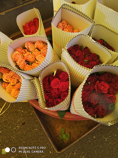 ไฟล์:Packed roses.jpg