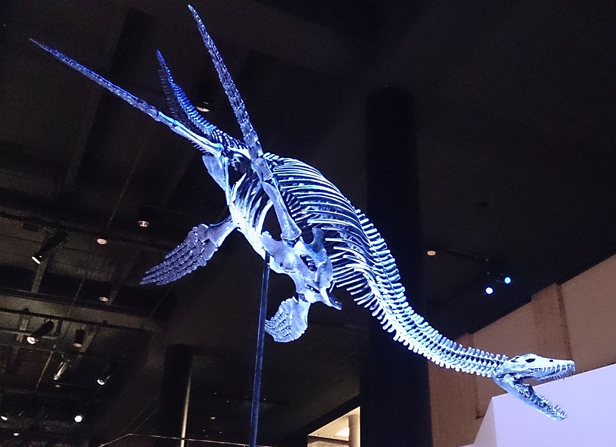 Why we think that some extinct giant flying reptiles cared for