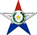 {{subst:The Paraguay Barnstar|message ~~~~}} Paraguay
