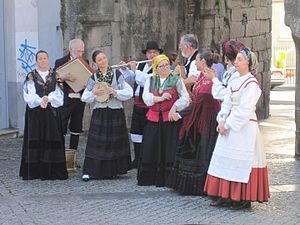 Festas De San Froilán De Lugo