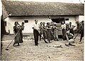 בית"רים עוסקים בניפוי חיטה בחוות ההכשרה על-שם זאב ז'בוטינסקי בזסטבנה, רומניה, 1946