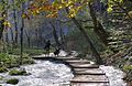 * Nomination Croatia, Plitvice Lakes National Park --Berthold Werner 10:44, 5 December 2015 (UTC) * Promotion nice --Pudelek 11:10, 5 December 2015 (UTC)