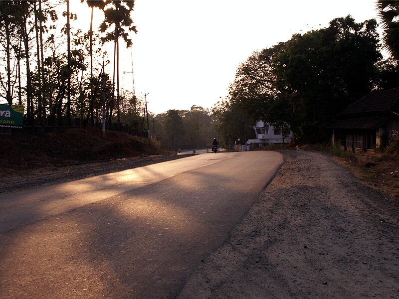 File:Plpm shoranur palghat highway.jpg