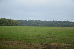 Prairie De Ann Battlefield.jpg