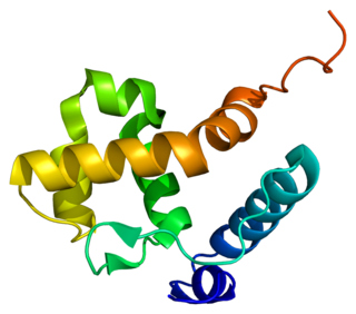 ARID1B protein-coding gene in the species Homo sapiens