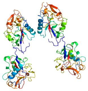 Collagen, type XVIII, alpha 1 Mammalian protein found in Homo sapiens