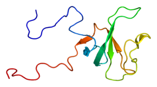 <span class="mw-page-title-main">CYLD (gene)</span>