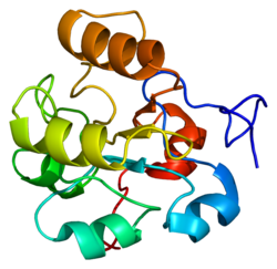 Протеин DUSP6 PDB 1hzm.png