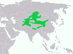 Мапа поширення виду.