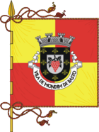 Flag of Mondim de Basto