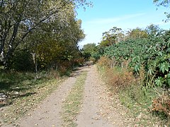 Quilmes, Buenos Aires Province, Argentina - panoramio - Marcelo Raidan.jpg