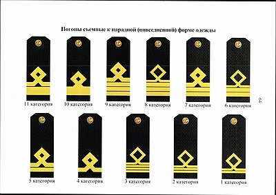 Rank insignia of civilian sea-going personnel of the Russian Navy. Rank insignia of civilian personnel of the Russian Navy.jpg