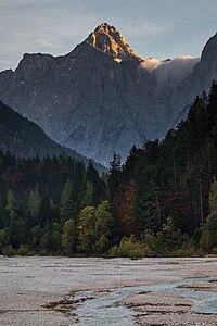 Triglavski Narodni Park: Zgodovina, Zakonska zaščita parka, Živi svet