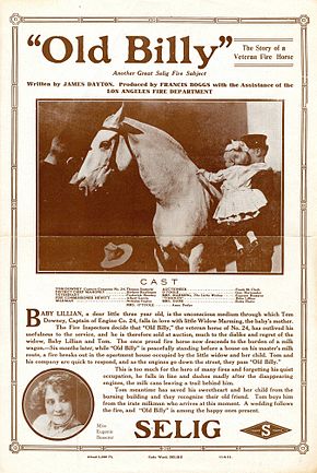 Description de l'image Release flier for OLD BILLY, 1911.jpg.