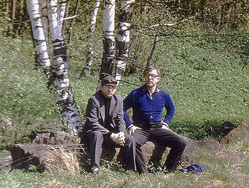 File:Rest in the birch grove.jpg