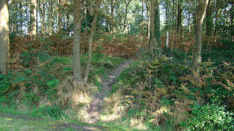 File:Ringwalburg Appel, Gelderland 02.JPG