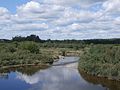 Vignette pour Rivière aux Bluets (Grand lac Saint-François)