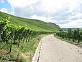 Road between the vineyards near Kesten, Germany