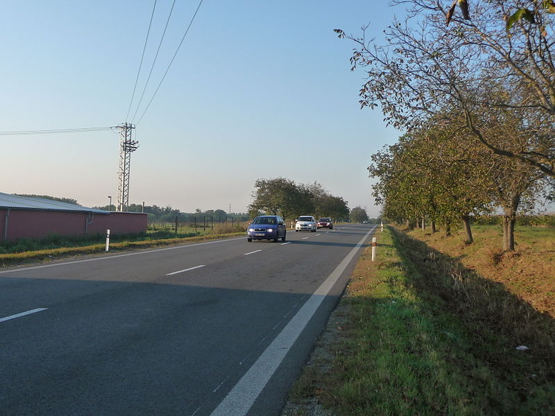 File:Road from Holasice (2).jpg