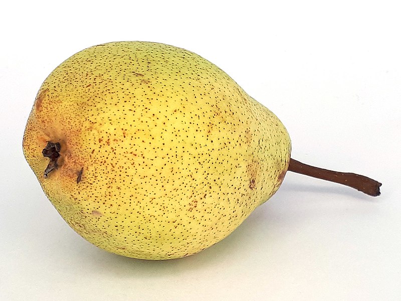 File:Rocha Pear 2017 B3.jpg