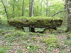 Illustratieve afbeelding van het artikel Dolmen du Bois de la Grande-Bay