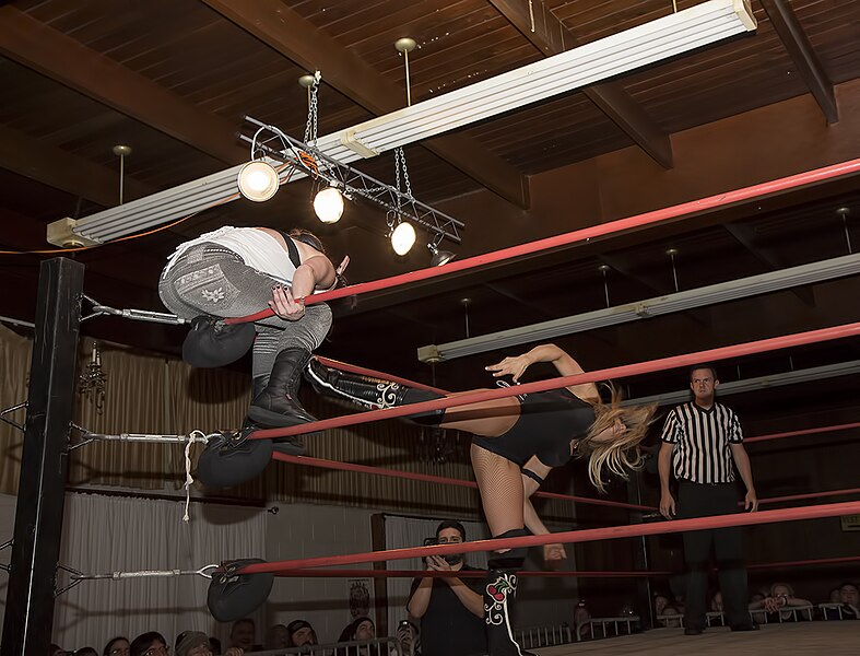 File:SHIMMER Volume 90 - Cherry Bomb vs Leva Bates 10.jpg