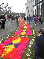 The flowered tapestry path leading from the Convent of Hope: the route of the procession is marked by the flower-laid mats. SMG PDL SantoCristo carpet2.jpg