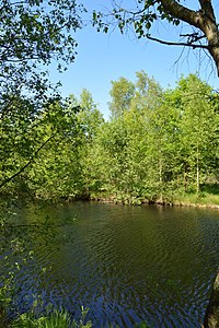 Schleswig-Holstein, Tellingstedt, Landschaftsschutzgebiet Großes Moor Kätner Moor NIK 7057.jpg