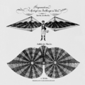 Flugmaschine von Albrecht Ludwig Berblinger, Kupferstich von Johannes Hans, 1811. Stadtarchiv Ulm