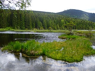 Naturpark Oberer Bayerischer Wald