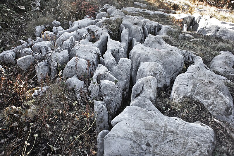 File:Seehorn kalkgestein karst.jpg