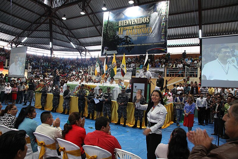 File:Segunda Cumbre Regional Amazónica (213) (4876698561).jpg