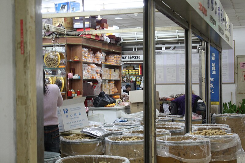 File:Shanghai health store.jpg