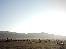 Parte oriental de la meseta de Iora - estepa de Shirak