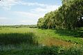 Hanshiqiao Wetland on the southwest of the town, 2009