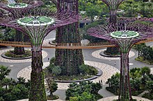 Singapore - panoramio (131).jpg