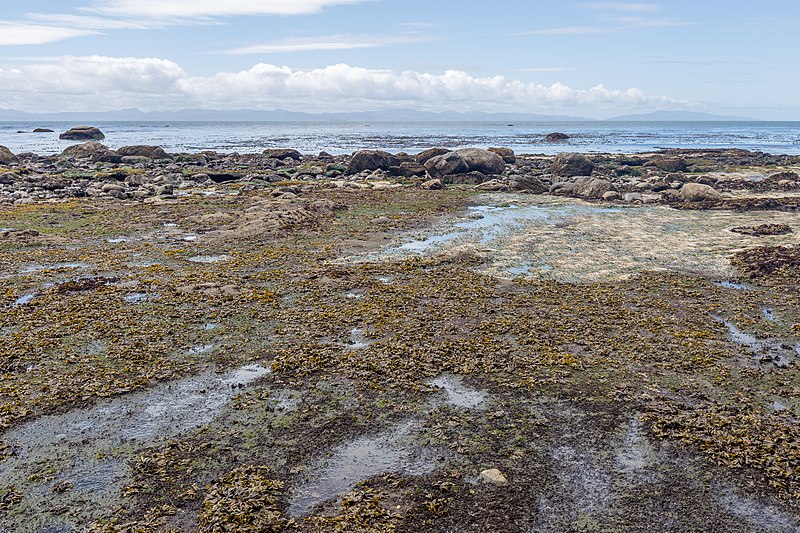 File:Sombrio Beach, Juan de Fuca Trail, Vancouver Island, Canada 24.jpg