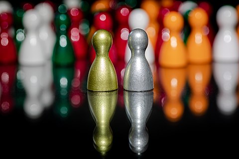 Pawns (in different colors)