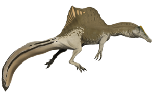 Spinosaurus aegyptiacus.png