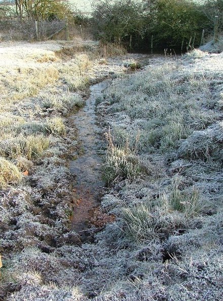 Spring feeding the Ivel. - geograph.org.uk - 113844.jpg