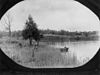 StateLibQld 2 161072 Ruderboot auf dem Fluss im Dutton Park, 1906.jpg