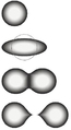 Image 4The stages of binary fission in a liquid drop model. Energy input deforms the nucleus into a fat "cigar" shape, then a "peanut" shape, followed by binary fission as the two lobes exceed the short-range nuclear force attraction distance, and are then pushed apart and away by their electrical charge. In the liquid drop model, the two fission fragments are predicted to be the same size. The nuclear shell model allows for them to differ in size, as usually experimentally observed. (from Nuclear fission)