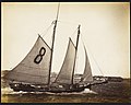 Thumbnail for Sylph (pilot boat)