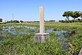 斎宮のハナショウブ群落。天然記念物指定石碑。（三重県多気郡明和町。