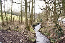 Stream south of Brindley Ford (geograph 4899605).jpg