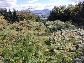 <span class="mw-page-title-main">Rath Turtle Moat</span> Ringfort in Wicklow, Ireland