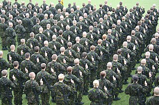 <span class="mw-page-title-main">Finnish Defence Forces military oath</span>